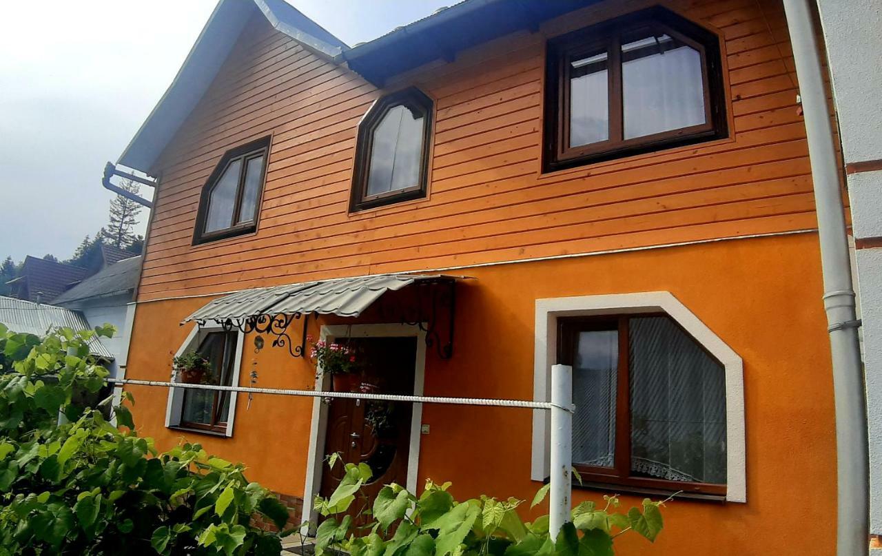 Guest House Karpaty 亚列姆切 外观 照片